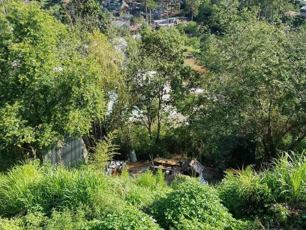 Lam Phan Hotel Villa Dalat Luaran gambar